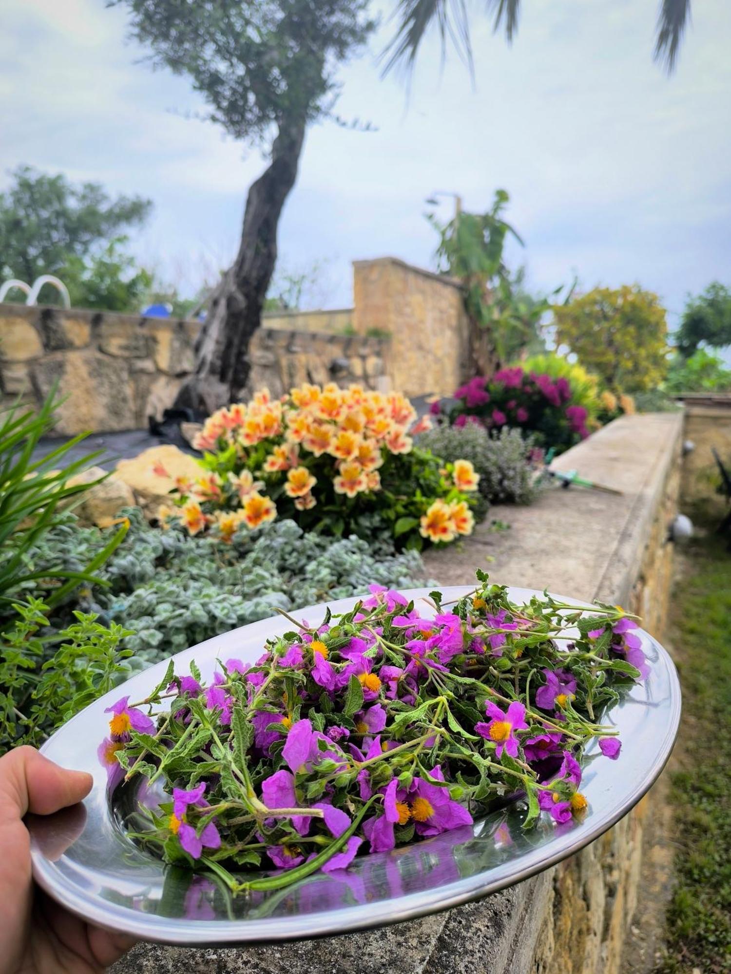 Villa Koulouridi Δαράτσο Εξωτερικό φωτογραφία